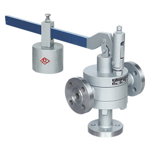 中國(guó)天正閥門有限公司脈沖式安全閥（GA49H）